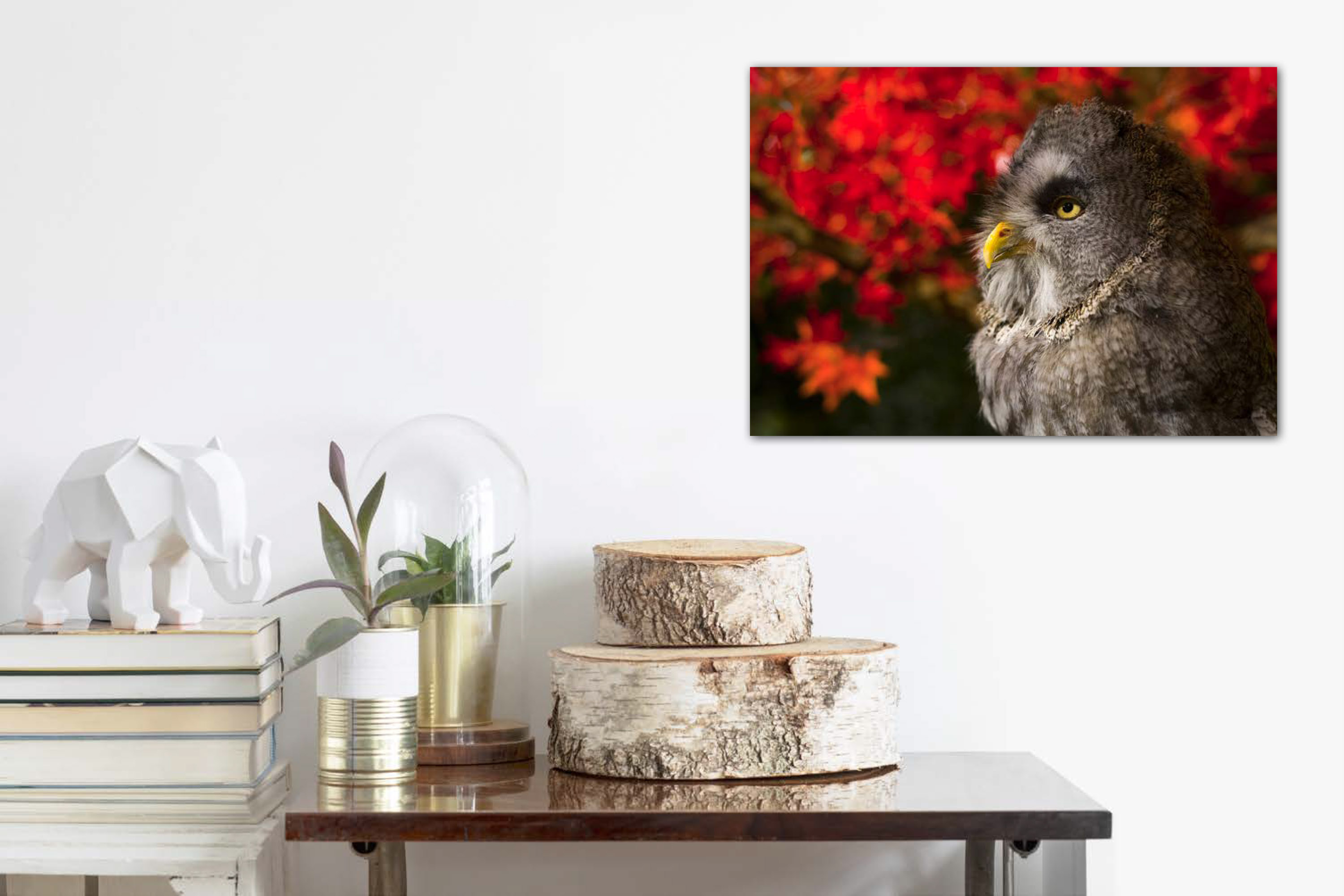 dg_SimHome_GreatGreyOwl-1