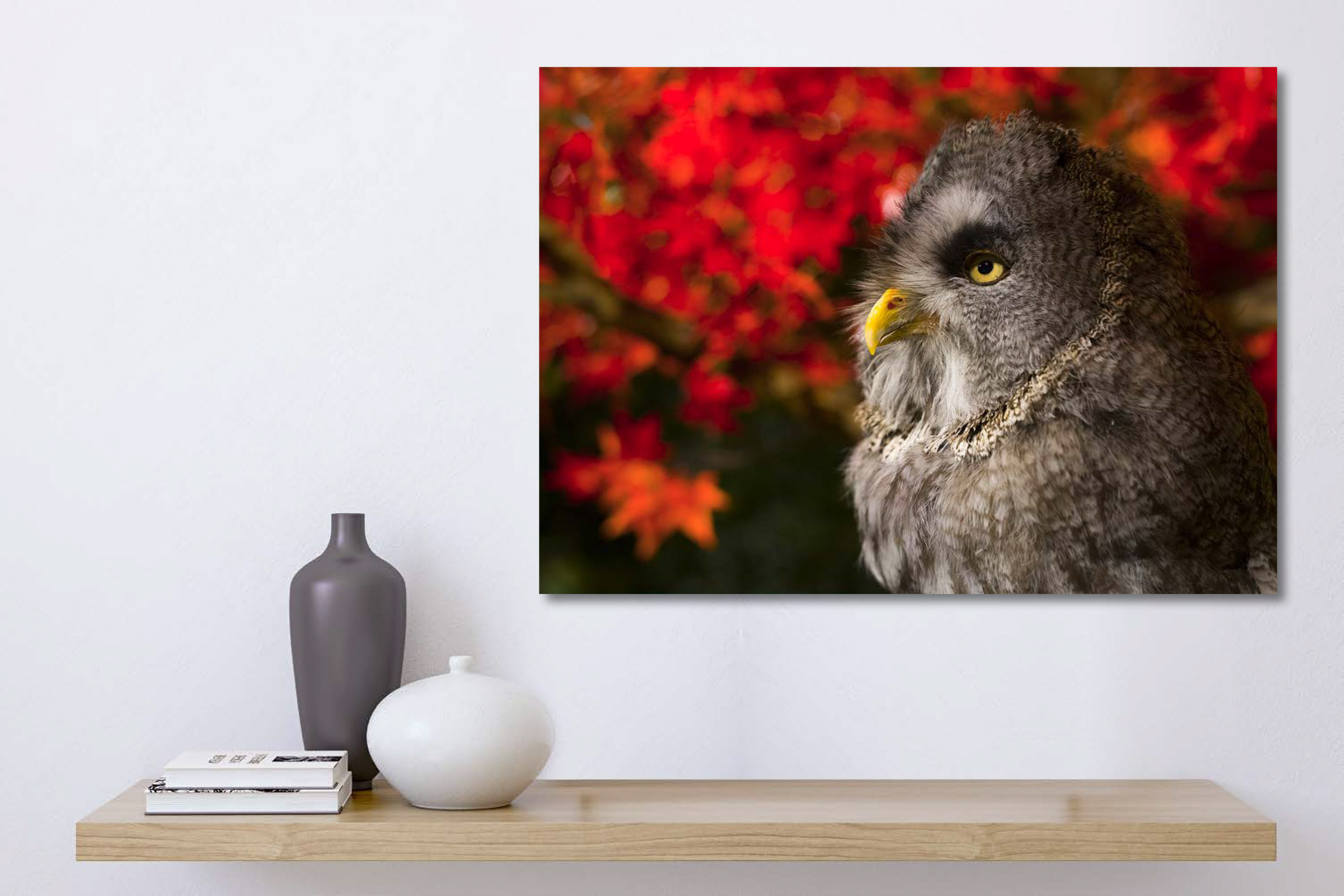 dg_SimHome_GreatGreyOwl-2