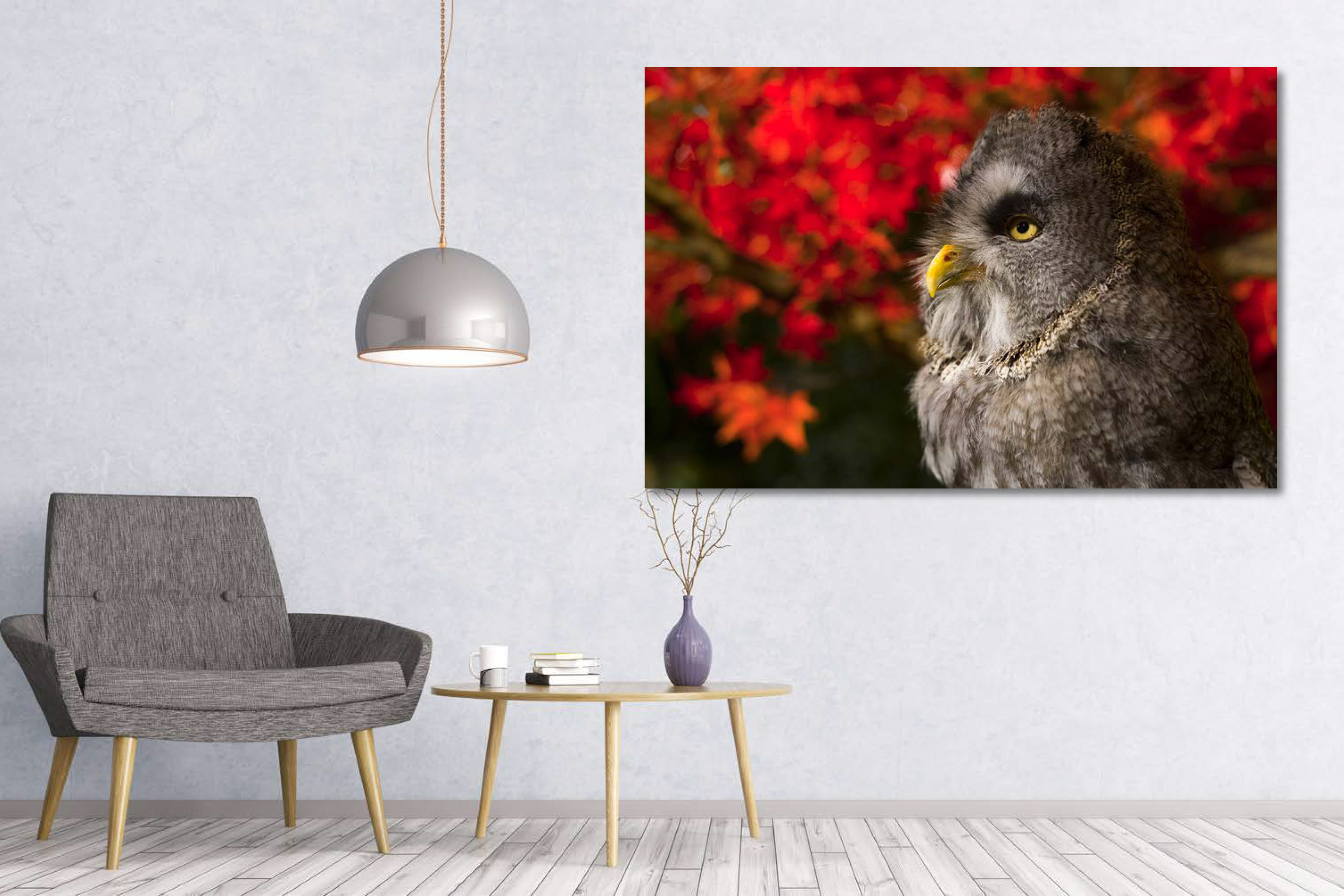 dg_SimHome_GreatGreyOwl-4