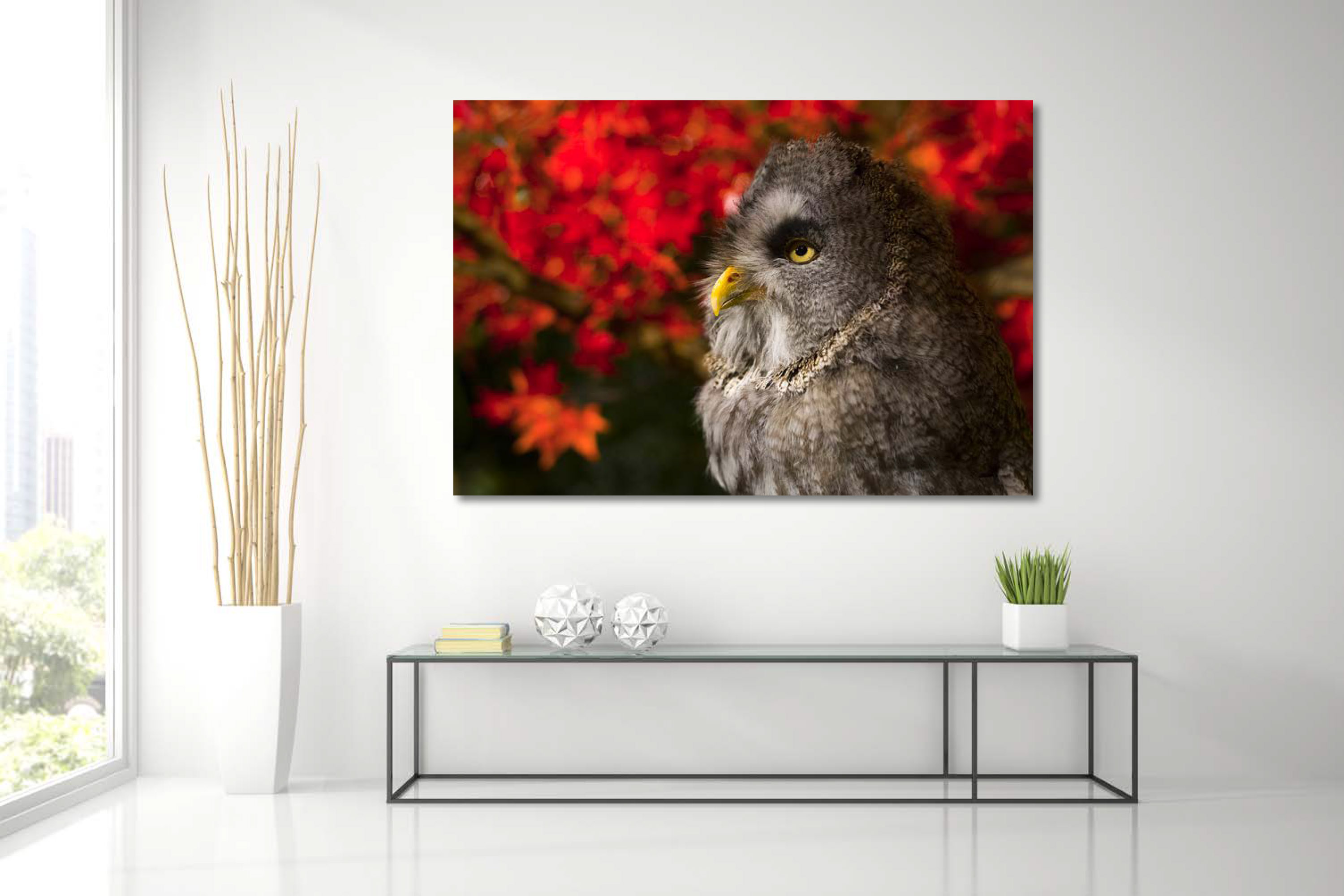 dg_SimHome_GreatGreyOwl-5