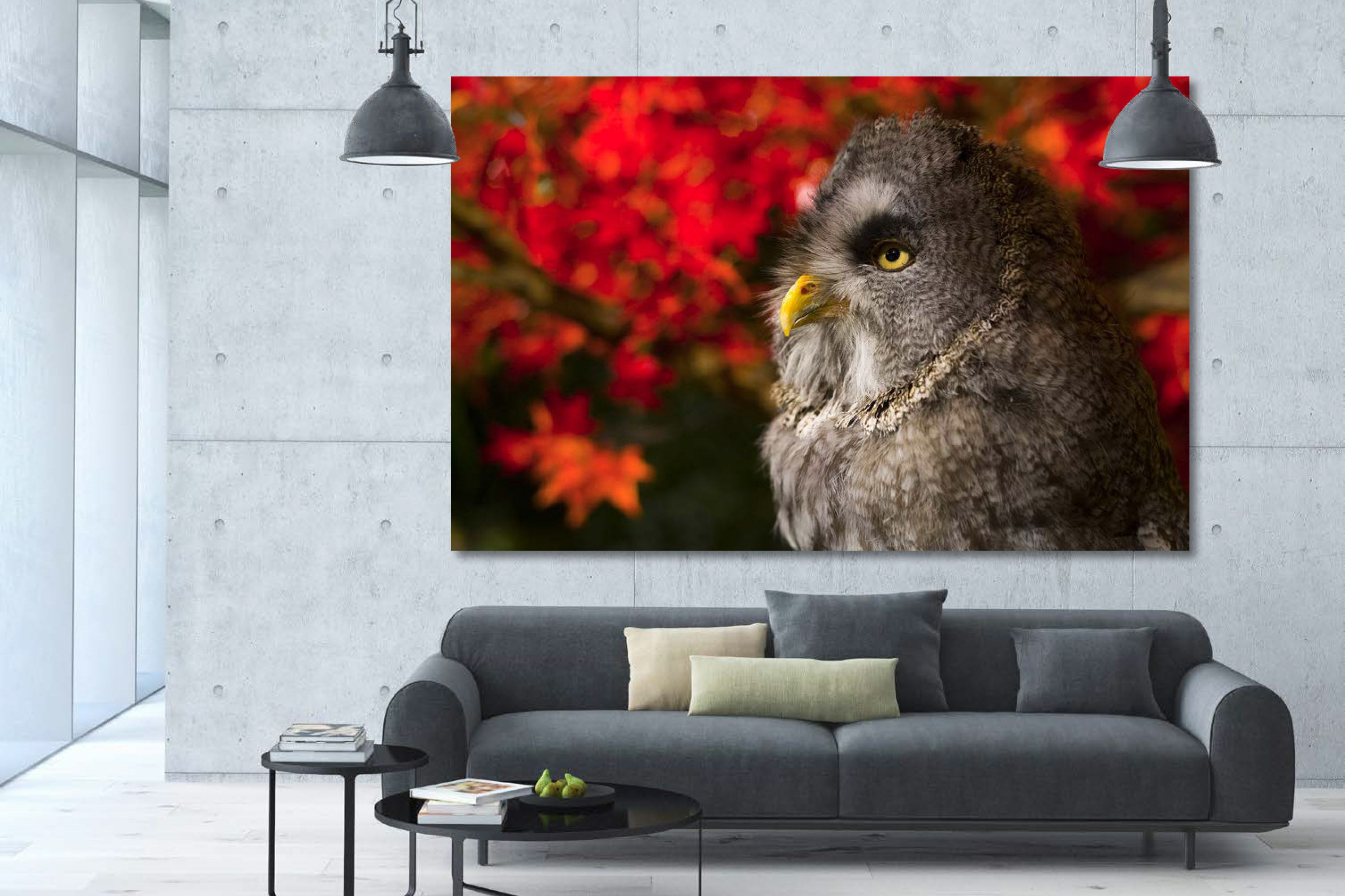 dg_SimHome_GreatGreyOwl-6