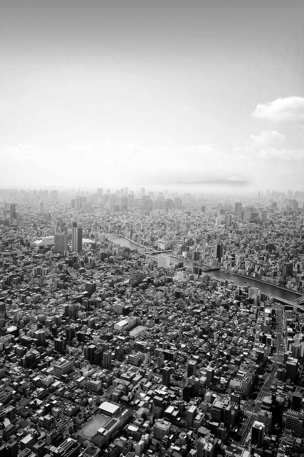 dg_Skytree_1000x1500px